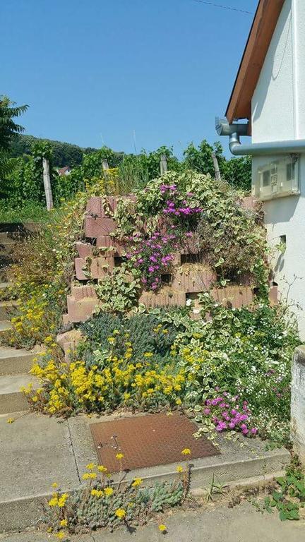 Remete-Lak Otel Villány Dış mekan fotoğraf